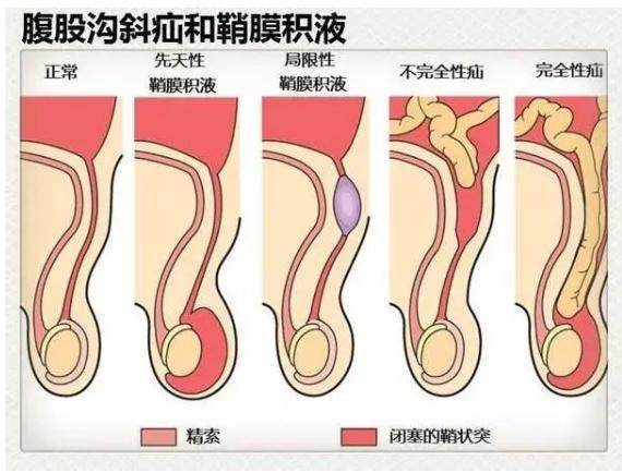 成都四海艺家声乐艺考怎样收费(成都音乐艺考班报名)