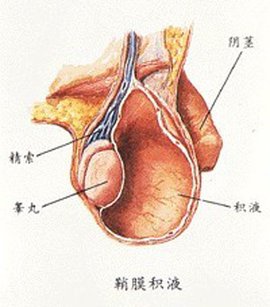 成都四海艺家声乐艺考怎样收费(成都音乐艺考班报名)