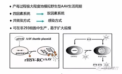 成都云尚音乐声乐艺术生集训学校排名(成都艺考音乐培训收费标准)