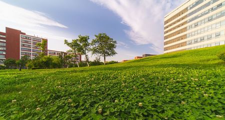 广元天力国际学校复读学校地址在哪里