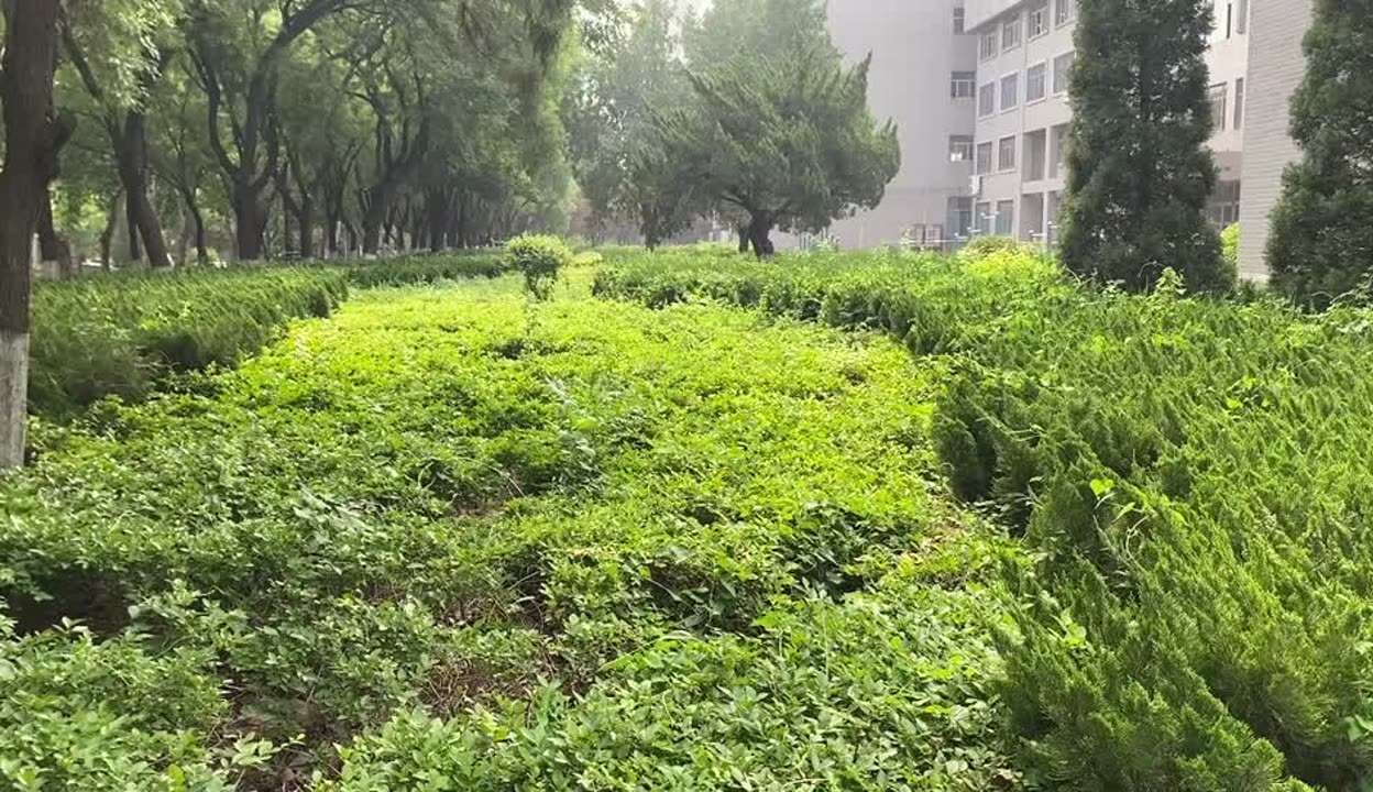 内江育才中学高考复读学校哪家好