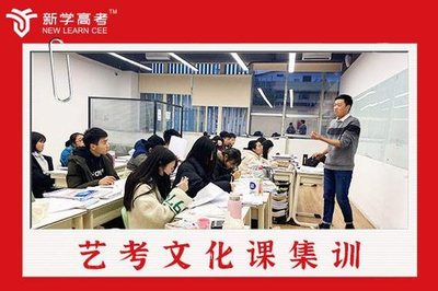 遂宁中学艺考生高考补习